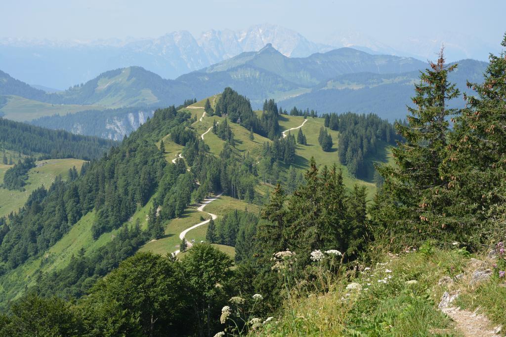 Appart Weisse Urlauben Am Wolfgangsee Sankt Gilgen Exteriér fotografie
